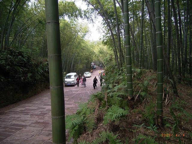 090404蜀南竹海 (35)