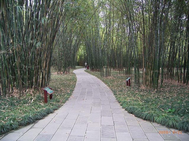 090421望江楼公園02