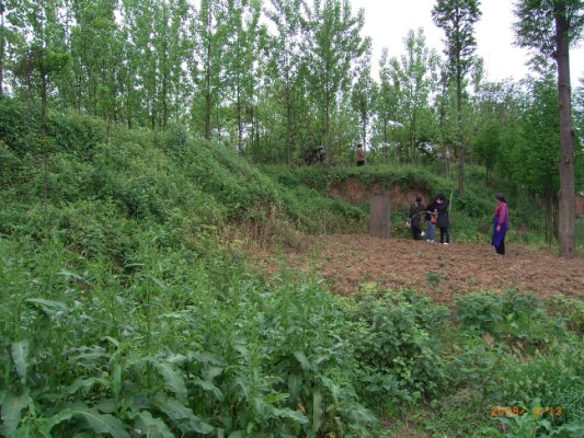 080413龍馬古城宝墩遺跡 010